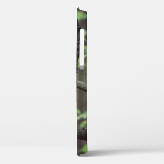 Barred Owl Case-Mate iPhone Hülle (Rückseite / Links)