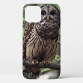 Barred Owl Case-Mate iPhone Hülle (Rückseite)