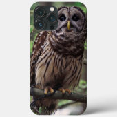 Barred Owl Case-Mate iPhone Hülle (Rückseite)
