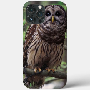 Barred Owl Case-Mate iPhone Hülle