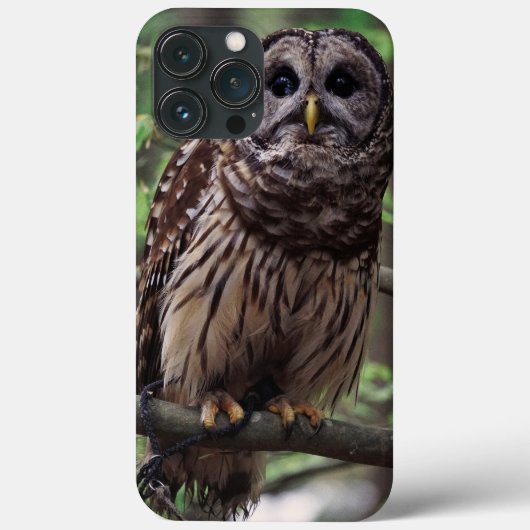 Barred Owl Case-Mate iPhone Hülle (Rückseite)
