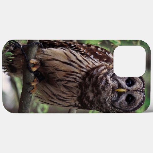 Barred Owl Case-Mate iPhone Hülle (Rückseite (Horizontal))