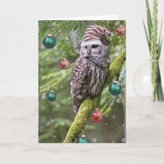 Barred Owl Christmas Feiertagskarte (Vorderseite)