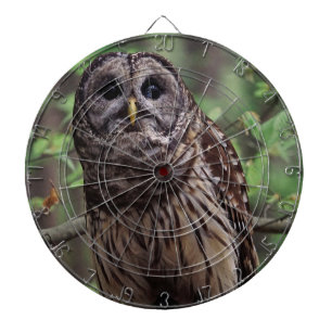 Barred Owl Dartscheibe