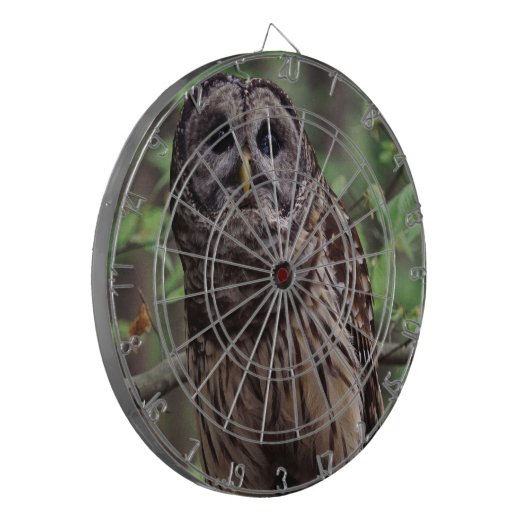 Barred Owl Dartscheibe (Vorderseite Links)