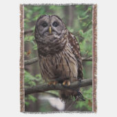 Barred Owl Decke (Vorderseite Vertikal)