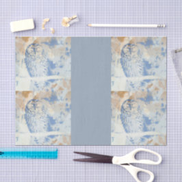 Barred Owl edit Seidenpapier