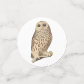 Barred Owl - Geburtstag oder anderes Party Themed Konfetti (Klein Vorderseite)