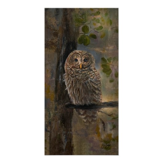 Barred Owl Gemälde 14 x 28 Poster (Vorderseite)