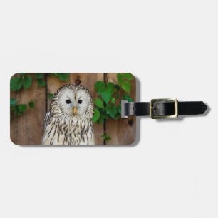 Barred Owl Gepäckanhänger