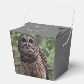 Barred Owl Geschenkschachtel (Vorderseite)