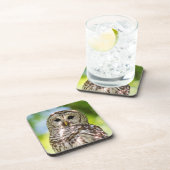 Barred Owl Getränkeuntersetzer (Rechte Seite)