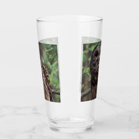 Barred Owl Glas (Links)