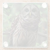 Barred Owl Glasuntersetzer (Rückseite)
