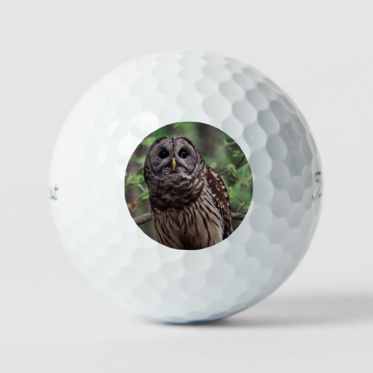 Barred Owl Golfball (Vorderseite)