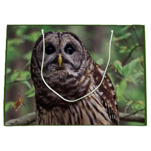 Barred Owl Große Geschenktüte