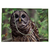 Barred Owl Große Geschenktüte (Rückseite)