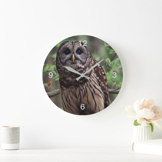 Barred Owl Große Wanduhr (Zuhause)