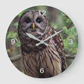 Barred Owl Große Wanduhr (Vorderseite)