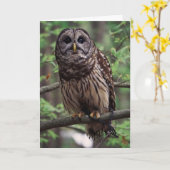 Barred Owl Grußkarte Karte (Gelbe Blume)