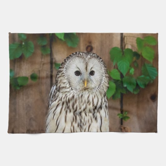 Barred Owl Handtuch (Horizontal)