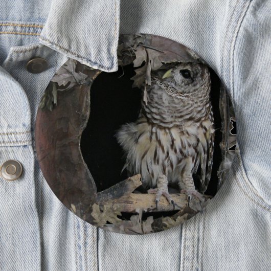 Barred Owl - Hier sieht man dich an! Button (Beispiel)