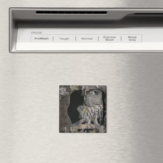 Barred Owl - Hier sieht man dich an! Magnet (In Situ (Geschirrspüler))