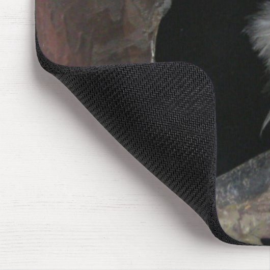 Barred Owl - Hier sieht man dich an! Mousepad (Ecke)