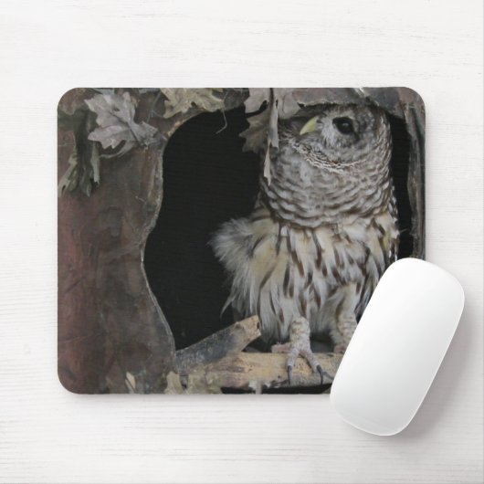Barred Owl - Hier sieht man dich an! Mousepad (Mit Mouse)