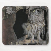 Barred Owl - Hier sieht man dich an! Mousepad (Vorne)