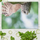Barred Owl im Flug Geschirrtuch (Gefaltet)