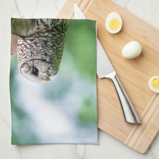 Barred Owl im Flug Geschirrtuch (Viertel Falte)