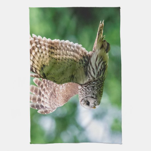 Barred Owl im Flug Geschirrtuch (Vertikal)