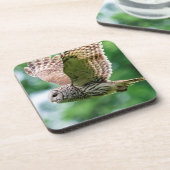 Barred Owl im Flug Getränkeuntersetzer (Linke Seite)