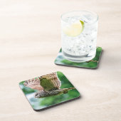 Barred Owl im Flug Getränkeuntersetzer (Rechte Seite)