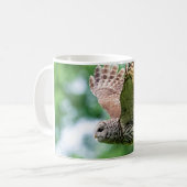 Barred Owl im Flug Kaffeetasse (Vorderseite Links)
