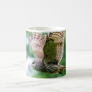 Barred Owl im Flug Kaffeetasse
