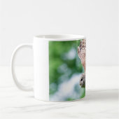 Barred Owl im Flug Kaffeetasse (Links)