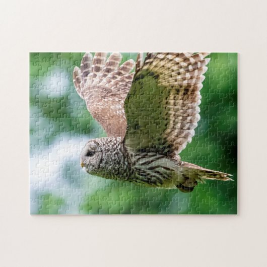 Barred Owl im Flug Puzzle (Horizontal)