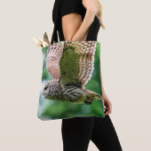 Barred Owl im Flug Tasche (Von Nahem)