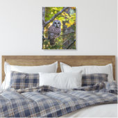 Barred Owl im Herbst | Alterer Landkreis, MI Leinwanddruck (Insitu (Schlafzimmer))