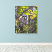 Barred Owl im Herbst | Alterer Landkreis, MI Leinwanddruck (Insitu (Holzboden))