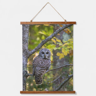 Barred Owl im Herbst Alterer Landkreis, MI Wandteppich Mit Holzrahmen