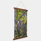 Barred Owl im Herbst | Alterer Landkreis, MI Wandteppich Mit Holzrahmen (Gewinkelt)