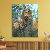 Barred Owl in einem spanischen Moos Leinwanddruck (Insitu (Wohnzimmer))