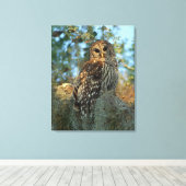 Barred Owl in einem spanischen Moos Leinwanddruck (Insitu (Holzboden))