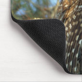 Barred Owl in einem spanischen Moos Mousepad (Ecke)