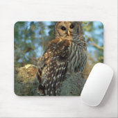 Barred Owl in einem spanischen Moos Mousepad (Mit Mouse)