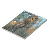 Barred Owl in einem spanischen Moos Notizblock (Rotiert)