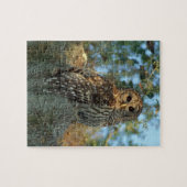 Barred Owl in einem spanischen Moos Puzzle (Horizontal)